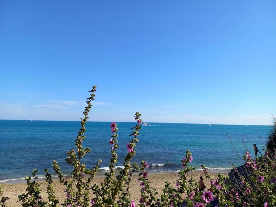 Studio Port Du Cap D'Agde Exterior photo